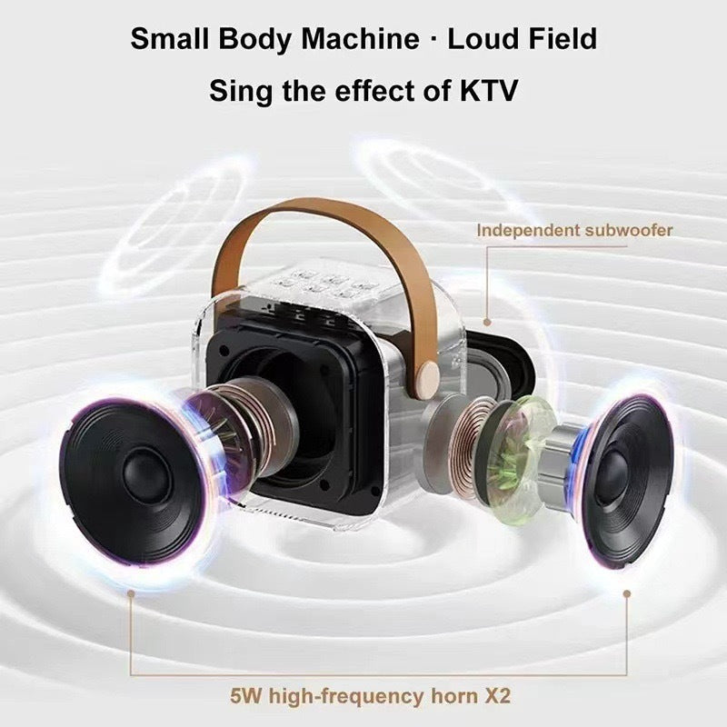 Karaoke Machine for Kids & Adults, Mini Portable Bluetooth Speaker with 2 Wireless Microphones,