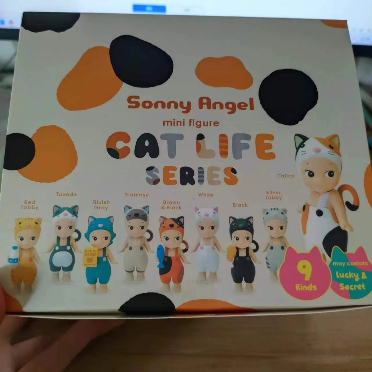S Angel Blind Box Cat Life Serise Mini Cat Action Figures Toys Ornaments Dolls