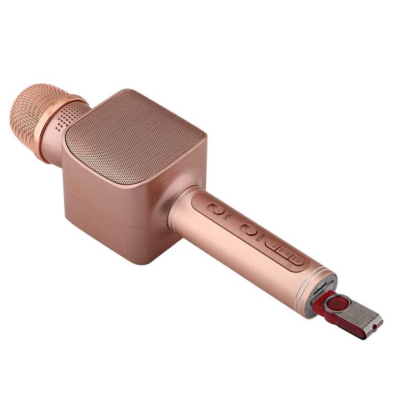 TEQ Microphone Speaker Bluetooth Karaoke For Phone Youtube TV + SD