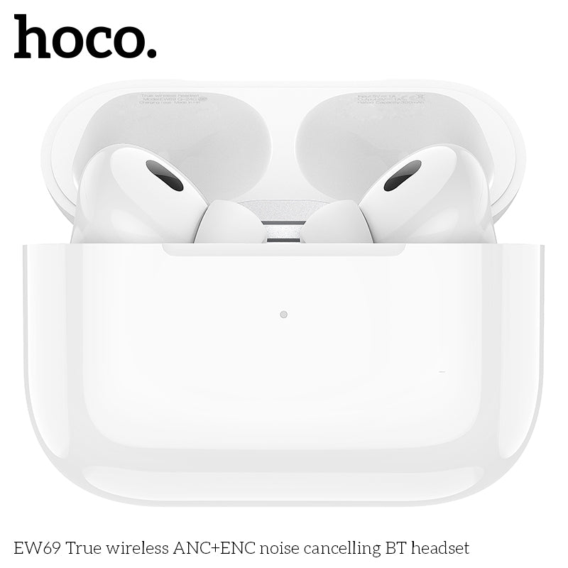 Hoco EW69 ANC noise reduction earphone