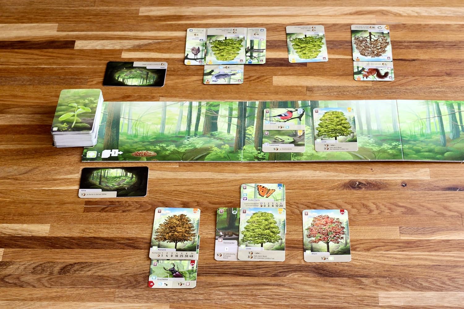 Forest shuffle board game