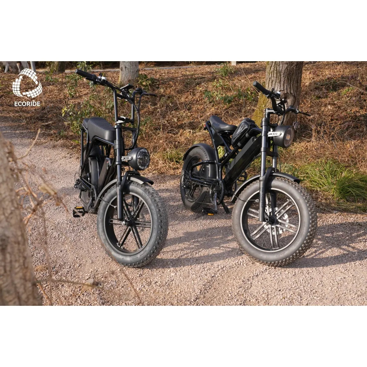 Electric Dirt Bike 500w Ecoride E-Bike 48v13ah Electric Bike Adult  Mountain Bike