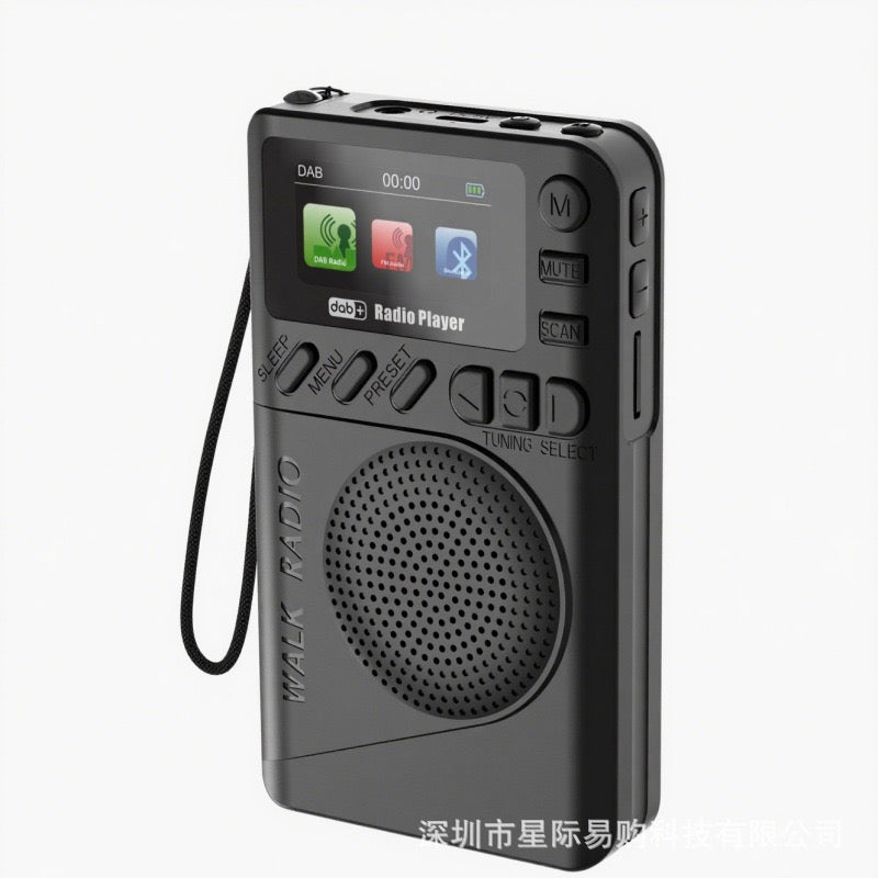 Portable Dab+Fm Digital Display Radio Supports Tf Card Mp3 Playback and Long-Lasting Battery Life Portable Radio - TEQ P