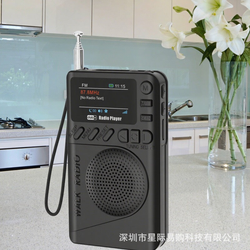 Portable Dab+Fm Digital Display Radio Supports Tf Card Mp3 Playback and Long-Lasting Battery Life Portable Radio - TEQ P