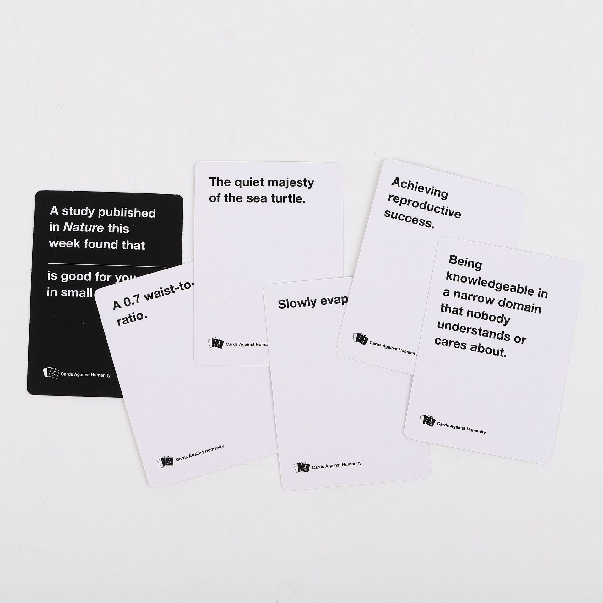 Cards Against Humanity Hidden Bundle Nasty bundle