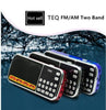 TEQ AM/FM Portable Radio