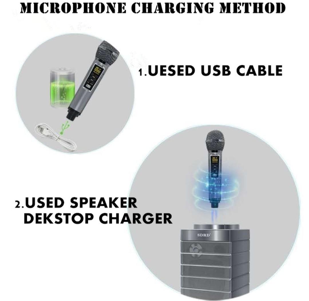 SDRD SD-128 BLUETOOTH SPEAKER Dual Wireless Microphone Karaoke Portable Speaker