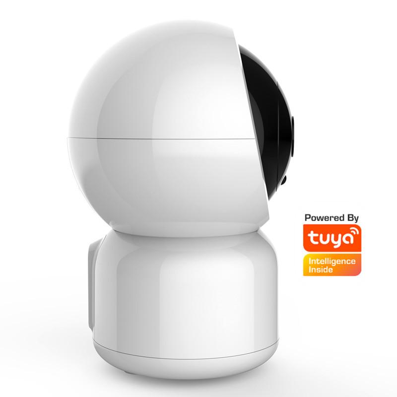 Tuya Camera 1080P WiFi 360 Degree View Detection Security Cam