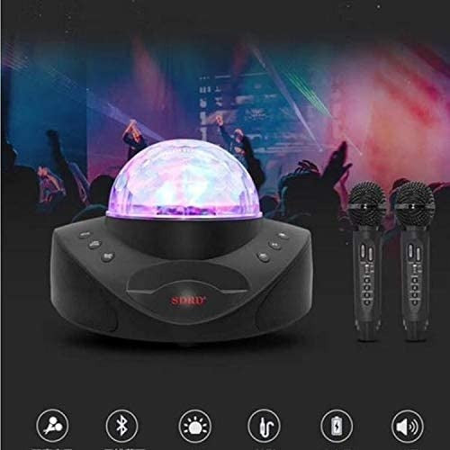 SDRD SD-308 2 in 1 Family KTV Portable Wireless Dual Microphone Bluetooth Speaker