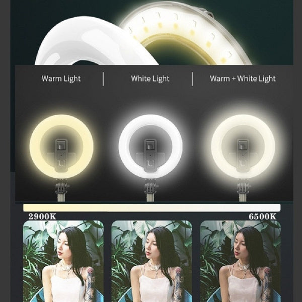 Extendable Selfie Stick Tripod LED Ring Light Bluetooth