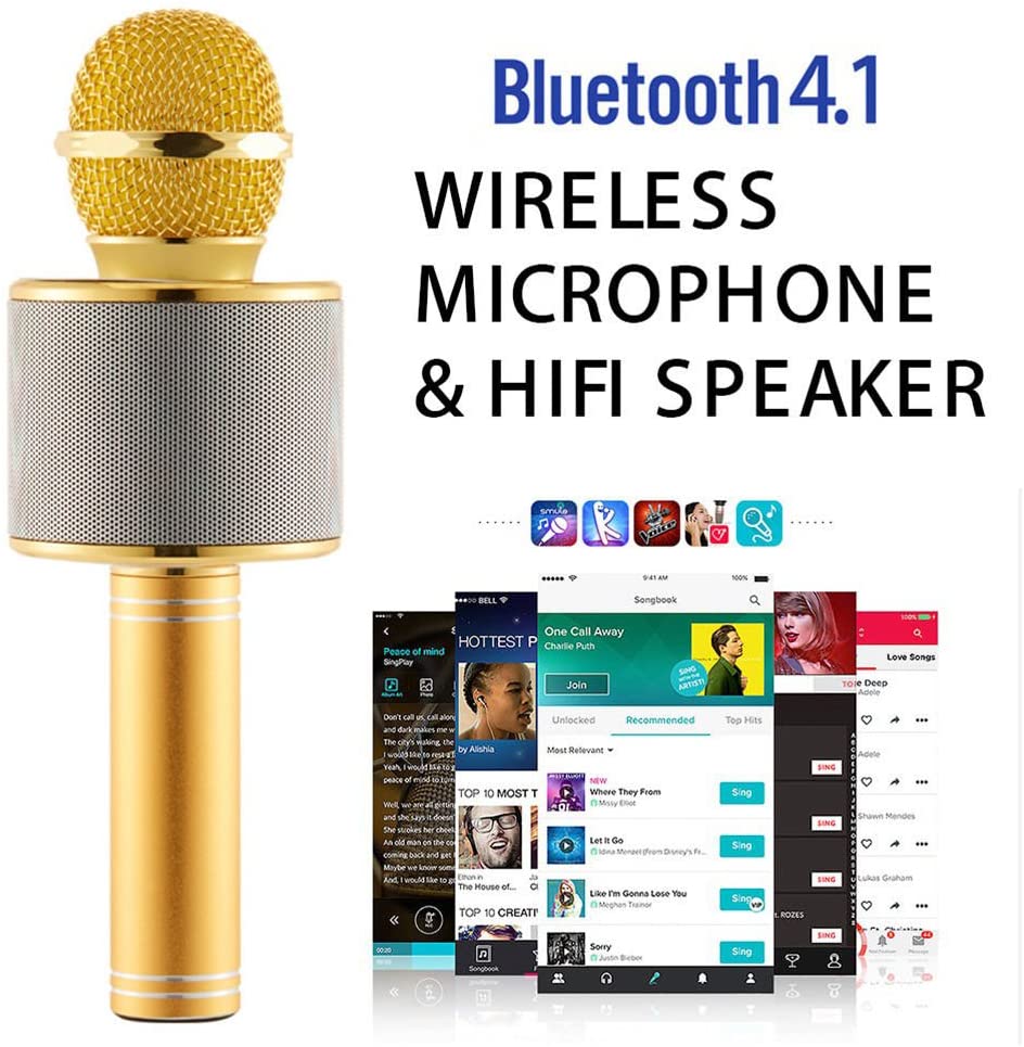 Genuine High Quality Version Wiser microphone Speaker