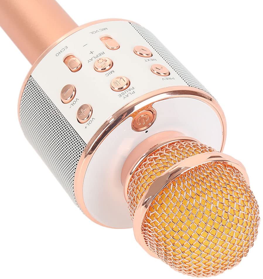 Genuine High Quality Version Wiser microphone Speaker