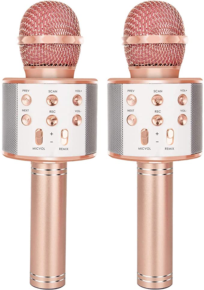 Genuine High Quality Version Wiser microphone Speaker