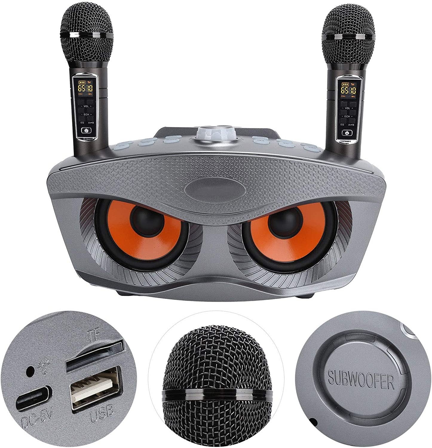 SDRD SD-306 Plus Karaoke Speaker system with 2 Mic