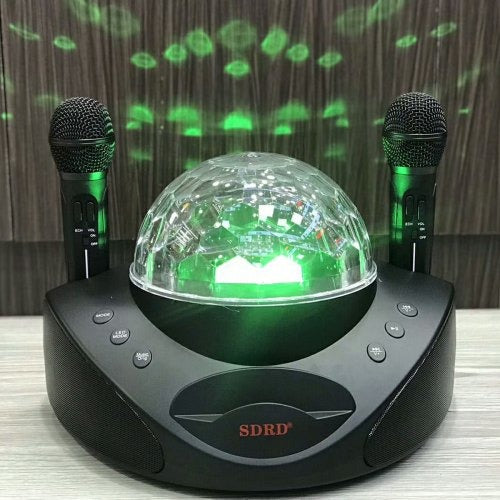 SDRD SD-308 2 in 1 Family KTV Portable Wireless Dual Microphone Bluetooth Speaker