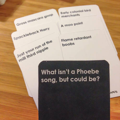 The One With All The Cards Game For Friends TV Fans party game