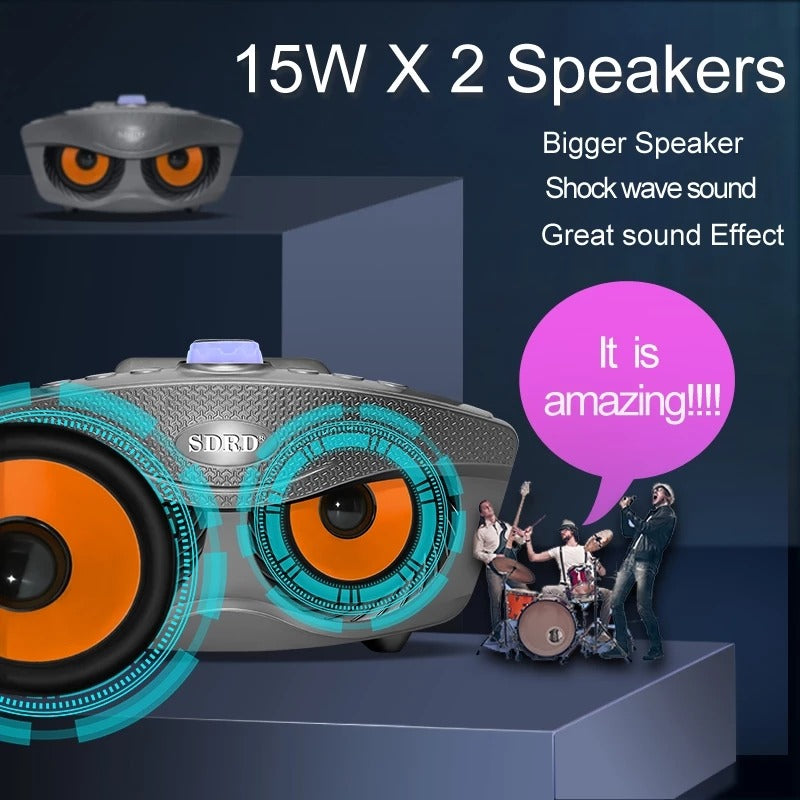 SDRD SD-306 Plus Karaoke Speaker system with 2 Mic