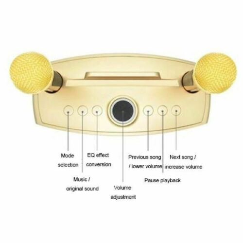 SDRD Owl Wireless Bluetooth Speaker With 2 Microphones Home Karaoke sd-306
