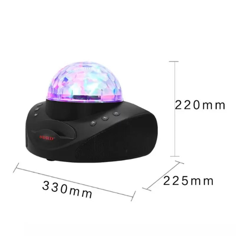 SDRD SD-308 2 in 1 Family KTV Portable Wireless Dual Microphone Bluetooth Speaker