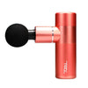 TEQ 56W Powerful aluminium alloy Massage  Gun  with carry case bag